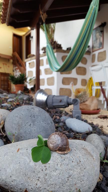 Casa Rural El Traspatio กรานาดิลญา เด อาโบนา ภายนอก รูปภาพ